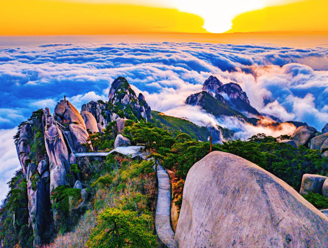 640.webp (22).png